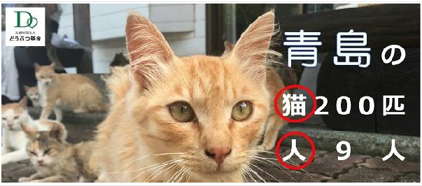 コメント282の画像