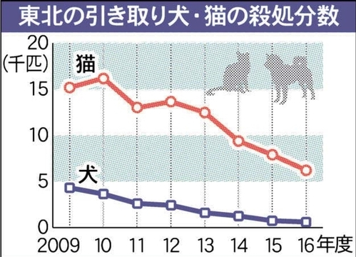 コメント291の画像