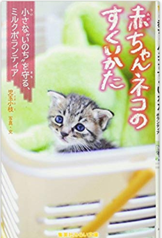 コメント325の画像