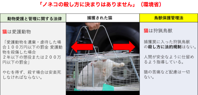 コメント342の画像