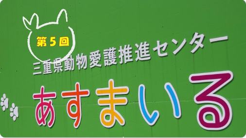 コメント363の画像