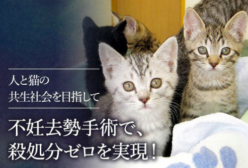 コメント369の画像