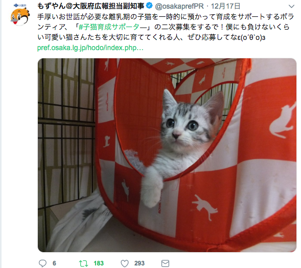 コメント380の画像