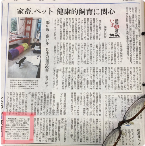 コメント387の画像