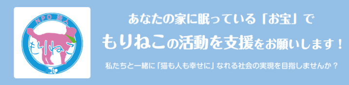 コメント415の画像