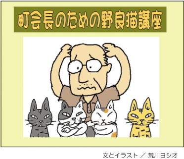 コメント417の画像