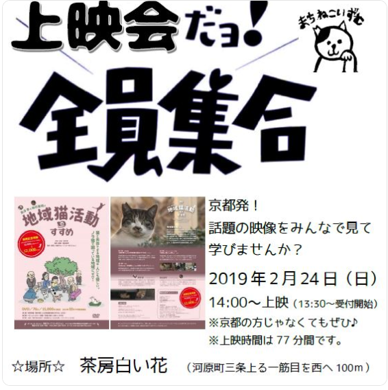 コメント431の画像