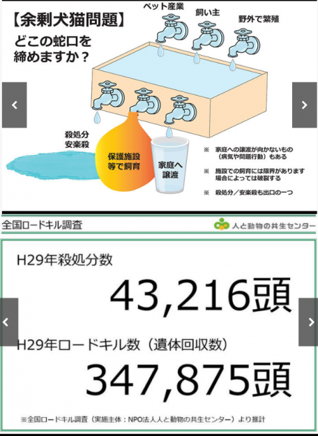コメント443の画像