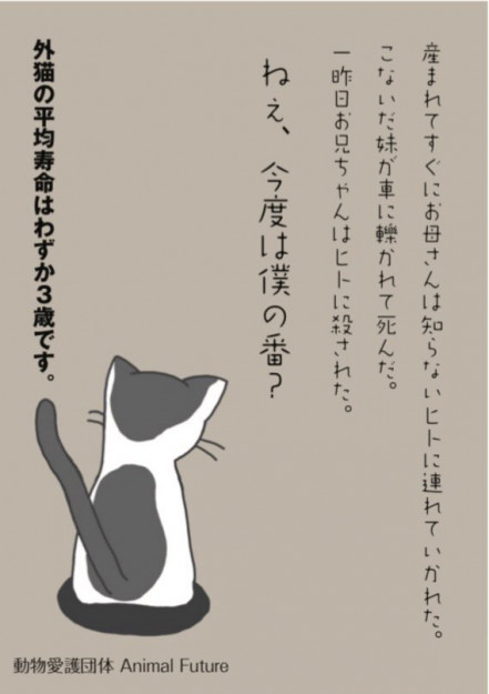 コメント466の画像