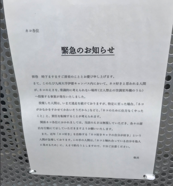 コメント477の画像