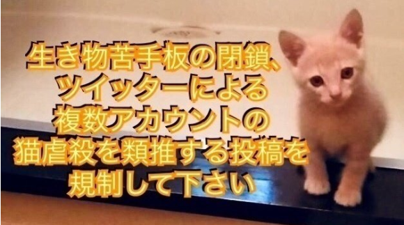 コメント478の画像