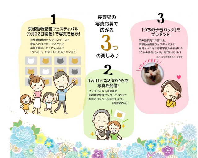 コメント497の画像