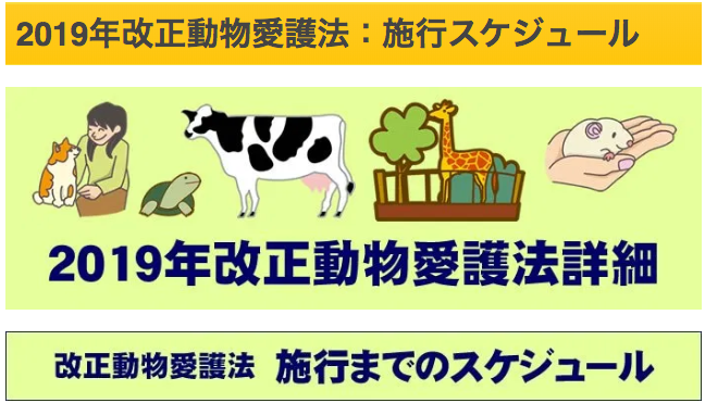 コメント514の画像