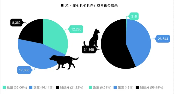 コメント519の画像