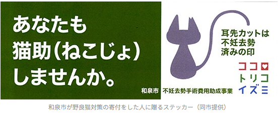 コメント528の画像