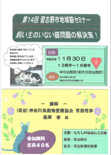 コメント537の画像