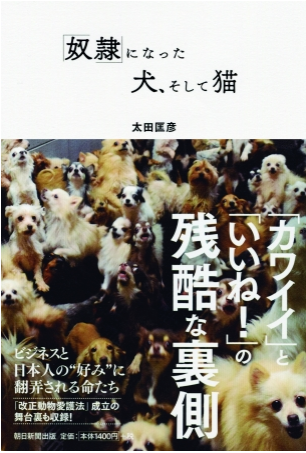 コメント538の画像