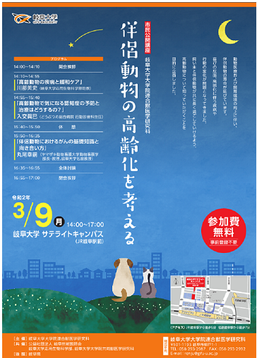 コメント555の画像