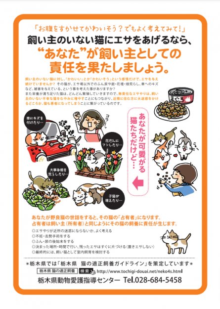 コメント642の画像