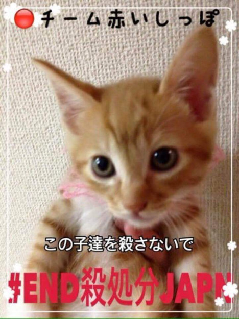 コメント160の画像