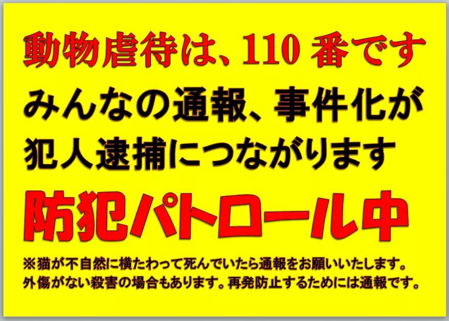 コメント202の画像