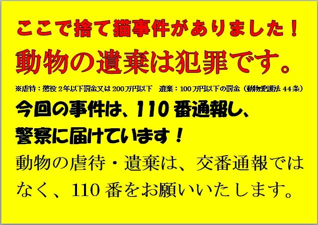 コメント215の画像