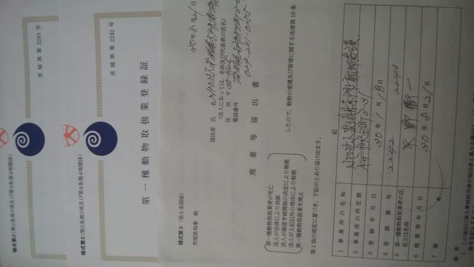 コメント281の画像