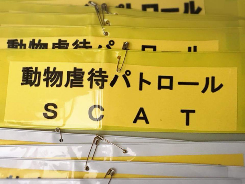 コメント292の画像