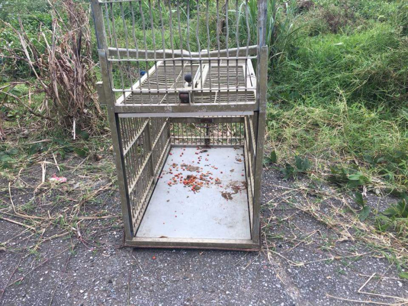 コメント299の画像