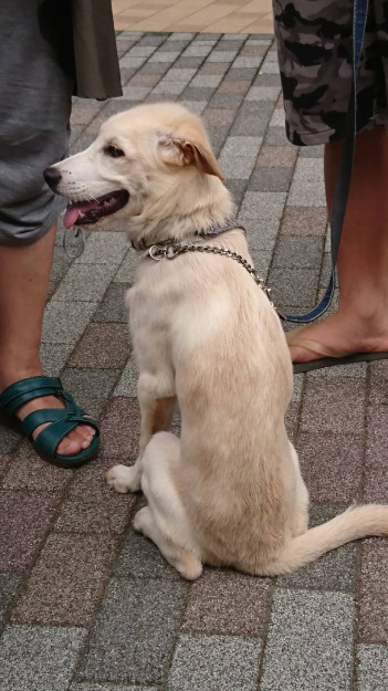 コメント317の画像