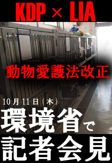 コメント338の画像