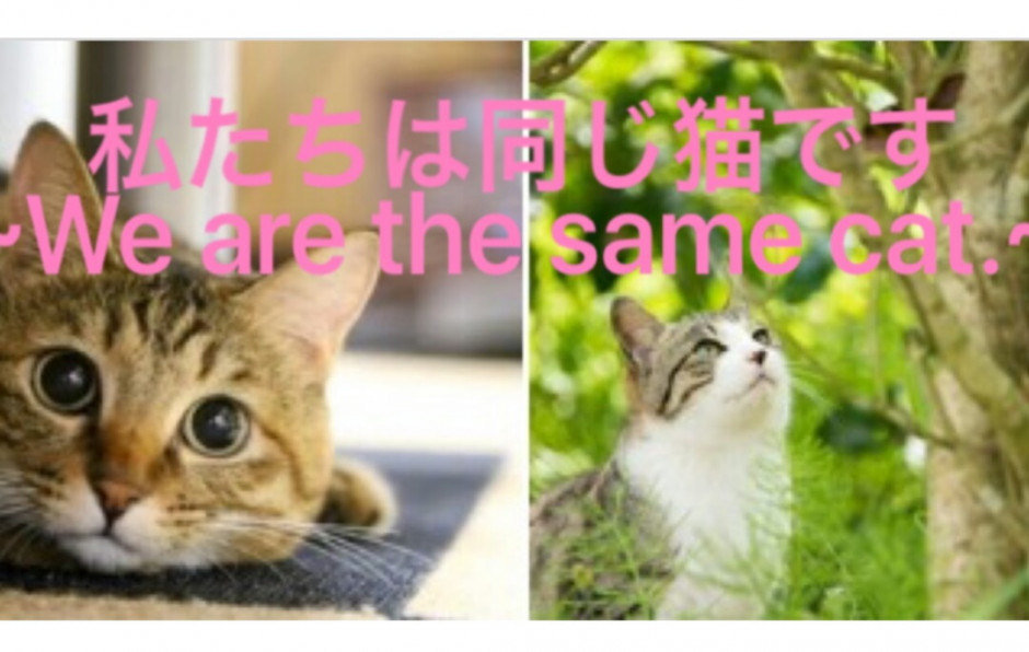 コメント350の画像