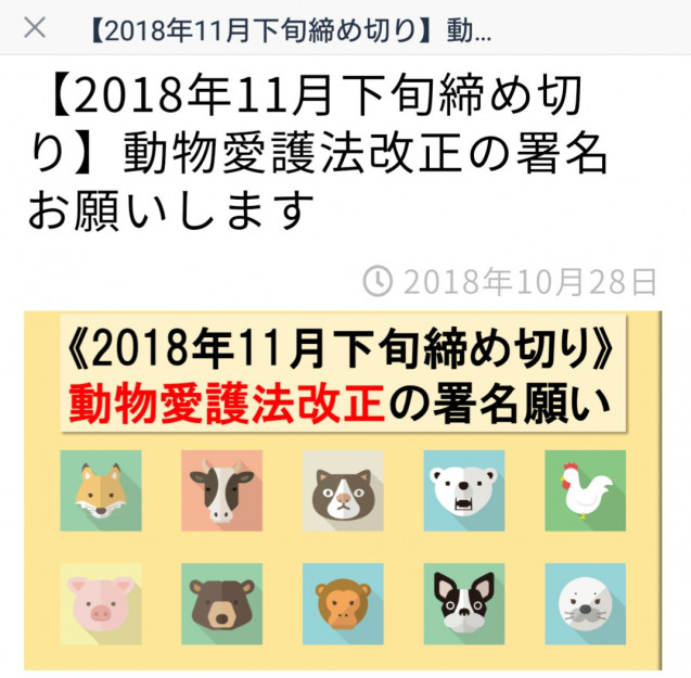 コメント351の画像