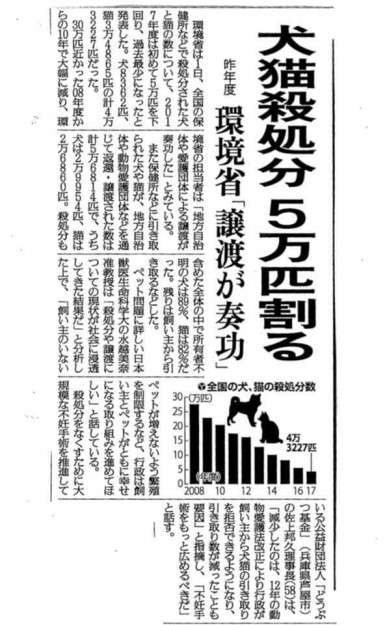 コメント354の画像