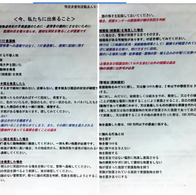 コメント362の画像