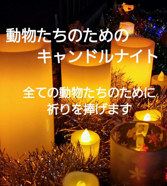 コメント375の画像