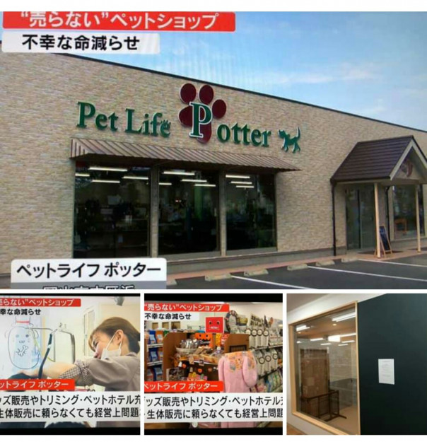 コメント389の画像