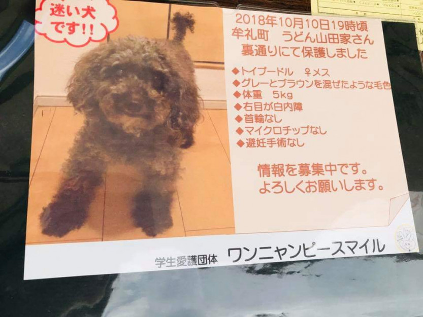 コメント395の画像