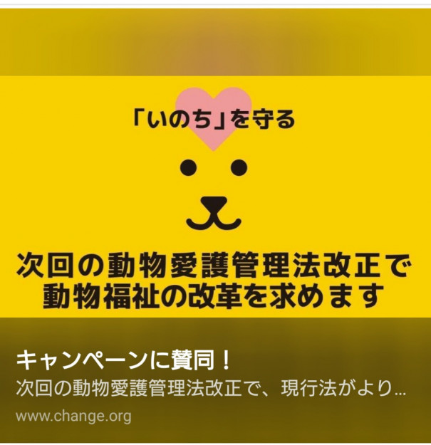 コメント408の画像