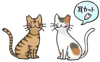 コメント412の画像