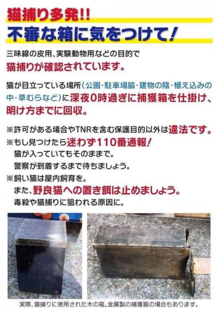 コメント482の画像