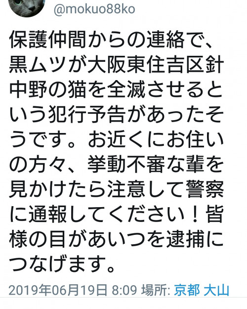 コメント484の画像