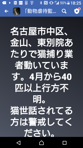 コメント486の画像