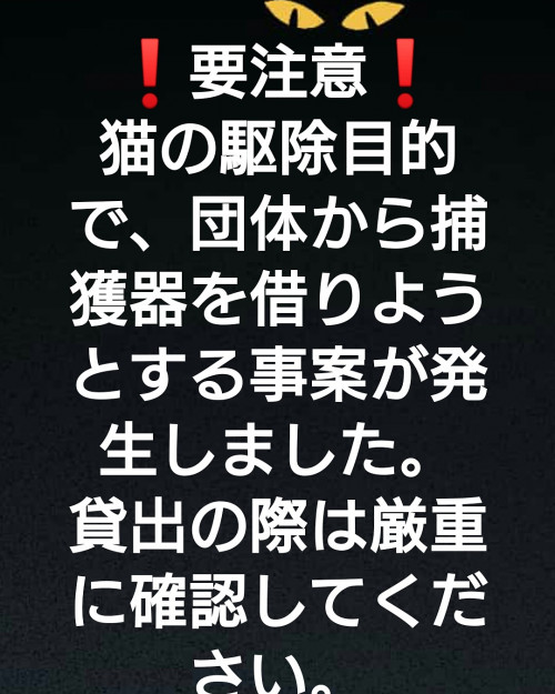 コメント487の画像