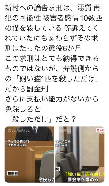 コメント508の画像