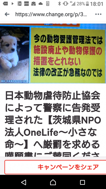 コメント509の画像