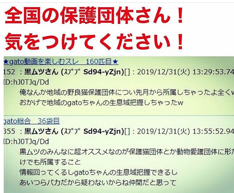 コメント561の画像