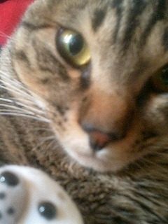 コメント21の画像