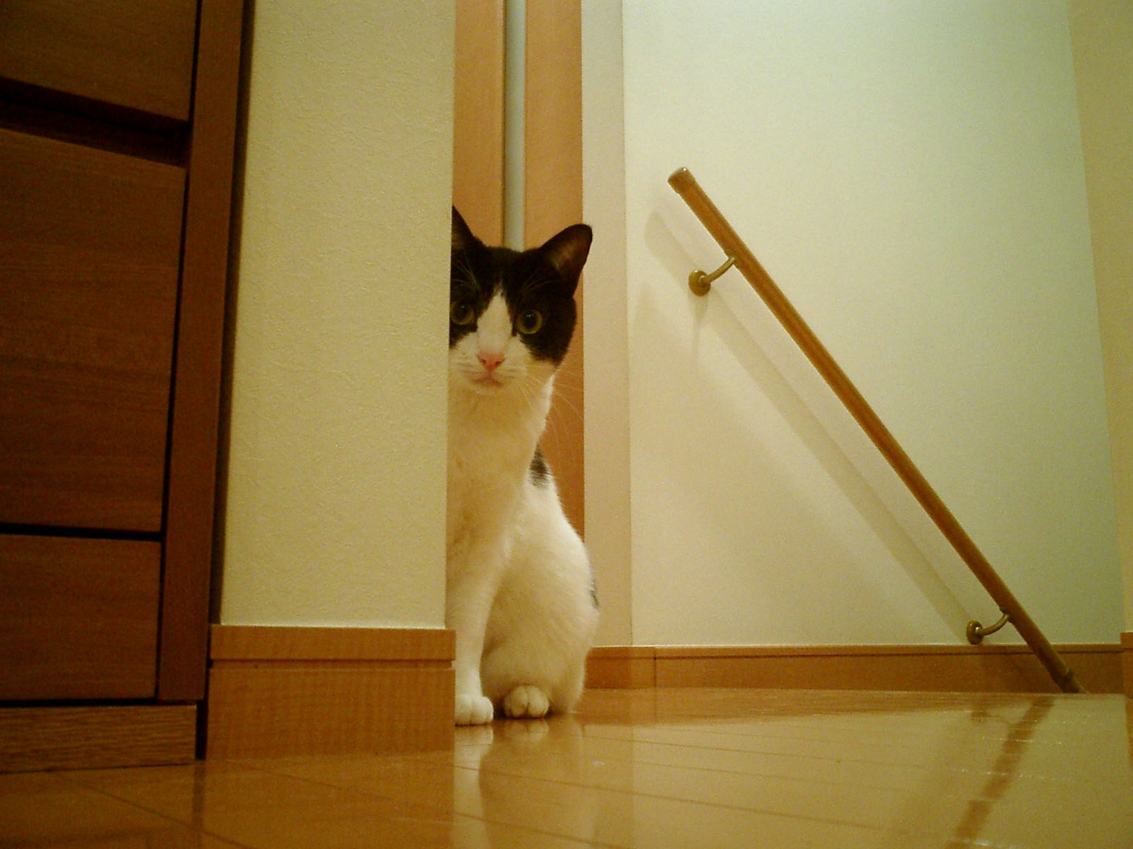 コメント35の画像