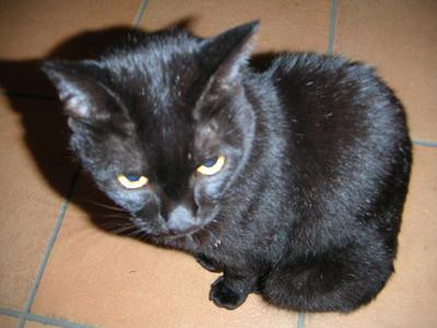 コメント45の画像